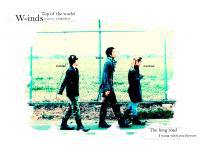 W-inds : The long road