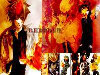 reborn tsuna