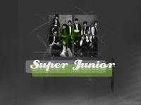 wallpaper suju 05