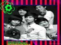 SHINee