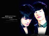 The Moment of KYUHAE ver.2
