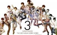 It's you - SUPER JUNIOR 