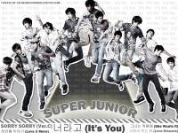 Super Junior :: It's You