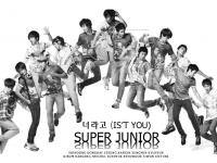 Super Junior - IT's YOU (black - white)
