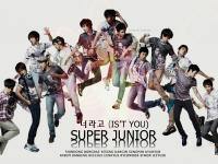 Super Junior - IT's YOU