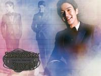 Super Junior Siwon : Sorry Sorry Set