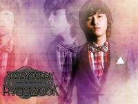 Super Junior Ryeowook : Sorry Sorry Set