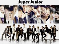 Super Junior Sorry Sorry