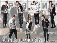 SJ M