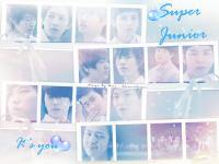 Super Junior - [MV] It's you