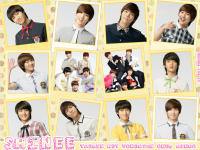 SHINee Love