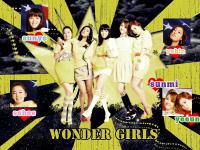 the wonder year