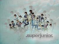 super junior repackaged