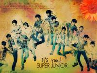 super junior it's you