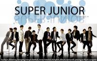 Super Junior Sorry Sorry 3rd Album 