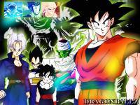 Dragonball Z : Power Z