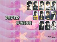 suPer_juNior_2