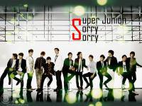 SJ Sorry Sorry