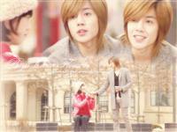 Boys Over Flowers