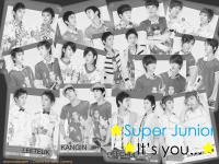 Super Junior - it's you