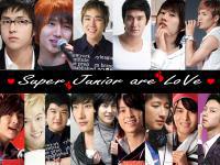 super junior wallpaper