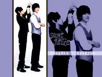 SUJU: SungMin & KyuHyun