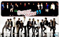 Super Junior_pwn 