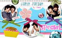 SJ Special