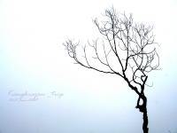 Alone