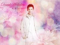 David Archuleta ^_^