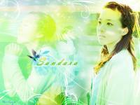 sandara park