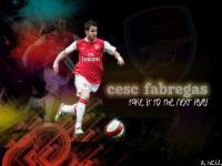 cesc fabregas