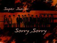 Super Junior - Sorry ,Sorry