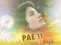 Pae_My idol