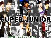 Super Junior - Kyuhyun-Sungmin-Yesung 