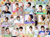 SUPER JUNIOR