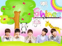 Shinee : New look