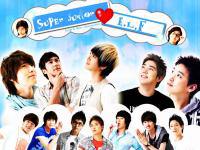 Super Junior LOVE Elf