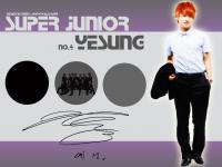 No.4 Super Junior Yesung