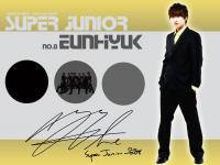 No.8 Super Junior Eunhyuk