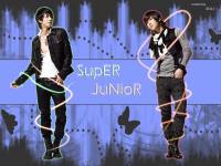 SuPer JuniOR - duEL