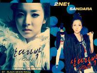 2NE1 SANDARA 