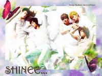 SHINEE IN YOUR DREAM