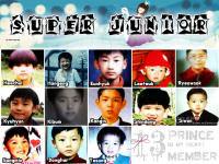 SUPER JUNIOR