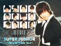 SUPER SHOW : DONGHAE