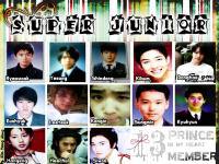 SUPER JUNIOR - TEEN