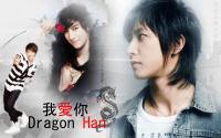 Dragon Han