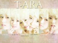 T-ARA