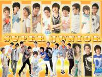 Super junior 