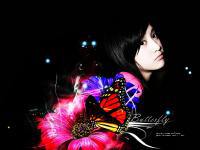 pimmy